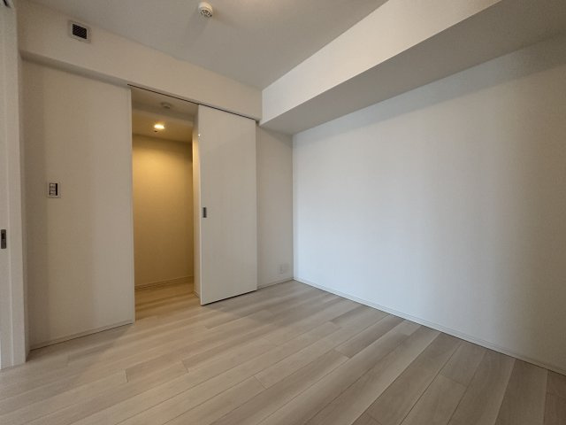 約5.0帖の窓のないお部屋には、大型のウォークインクローゼットが配置