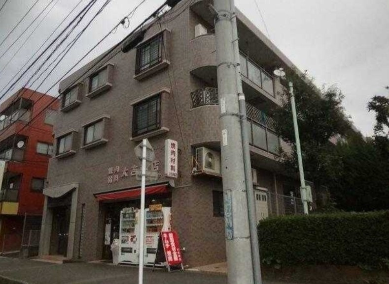 ナイスアーバン大和の外観