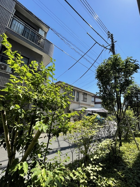 ベラヴィスタ千石の展望