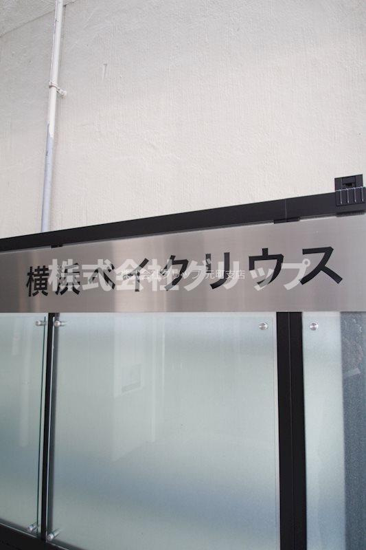 横浜ベイクリウスのその他