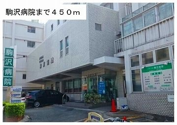Ｃｈａｒｕｍｅ　Ｋａｍｉｕｍａのその他