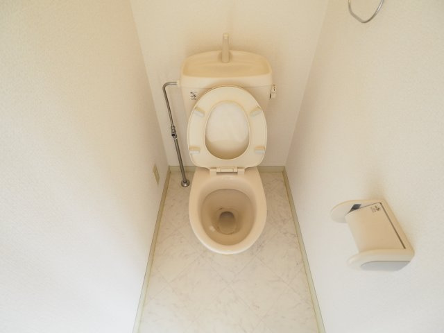 ディアスのトイレ