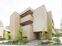 シークリサンス岡本の画像