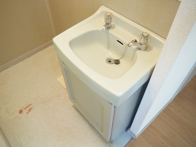 フラッグスタッフハイツAの洗面所