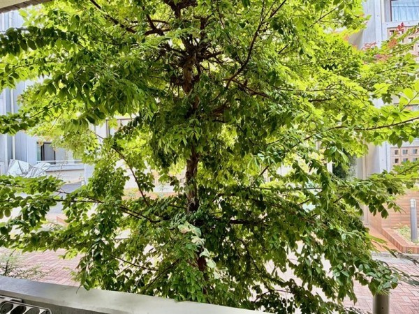 ＷＥＬＬ　Ｈｏｕｓｅ　東大井のその他