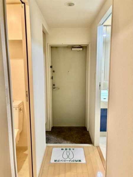 ＷＥＬＬ　Ｈｏｕｓｅ　東大井の玄関|収納もある玄関です