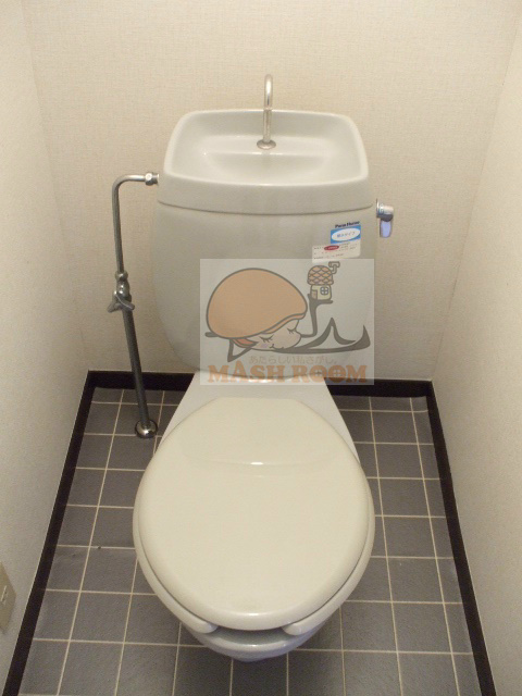 カルチャーコーポⅡのトイレ
