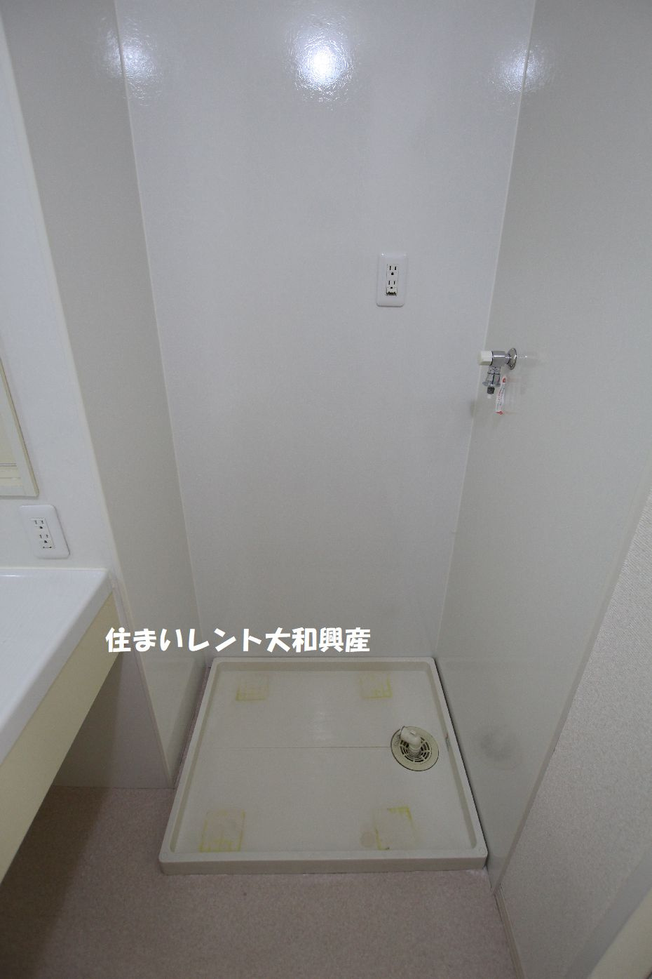 シャルマンのその他