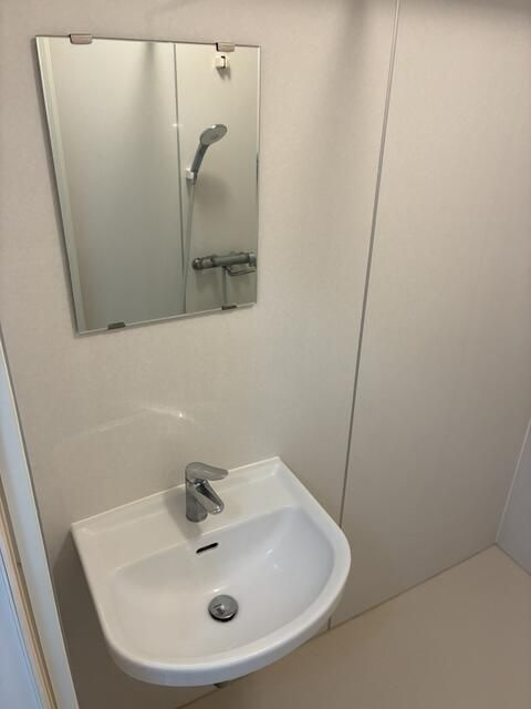 蒲田フラワーマンションの洗面所