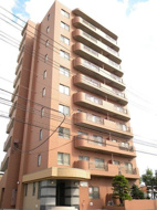 N35 FUJII MSの画像