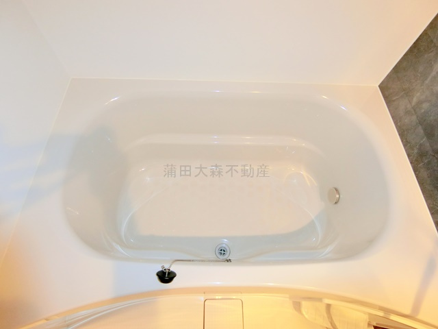 クレヴィアリグゼ蒲田西の浴室