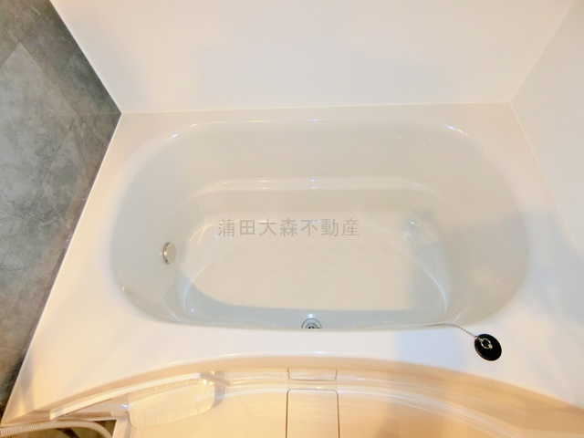 クレヴィアリグゼ蒲田西の浴室
