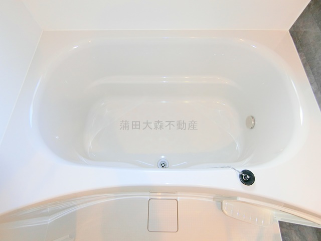 クレヴィアリグゼ蒲田西の浴室