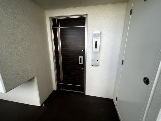 プレサンスロジェ西崎レーヴタワー408の玄関