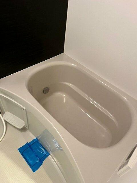 シンビオーシス本所の浴室