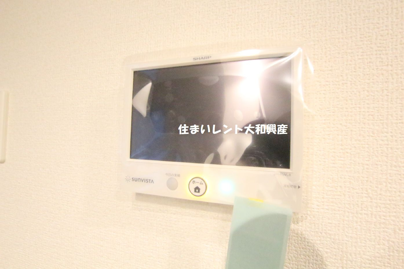 テュルキースのその他