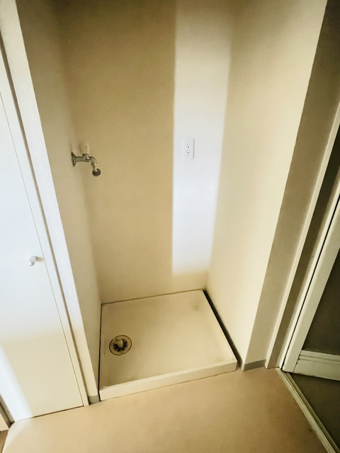 ミレニティ中山の洗面所