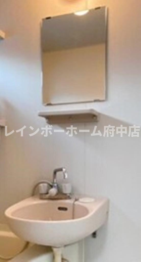 コーポニューリバー３の洗面所