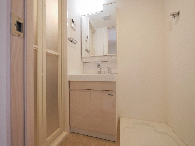 S-RESIDENCE高井田Centralの洗面所