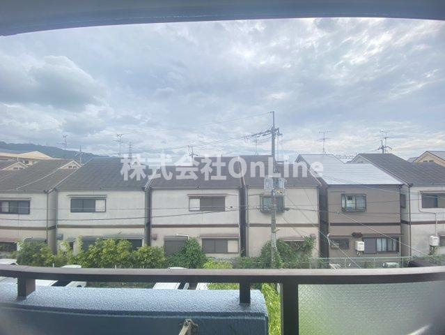ニューエスポワールの展望