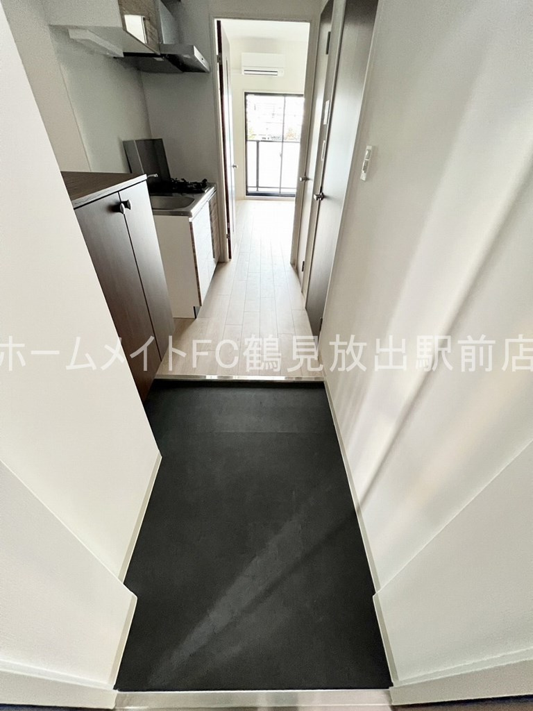 大阪市城東区放出西２丁目の賃貸マンションの玄関