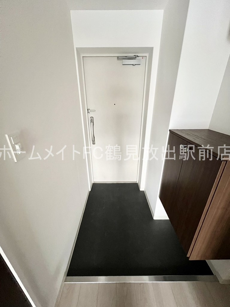 大阪市城東区放出西２丁目の賃貸マンションの玄関