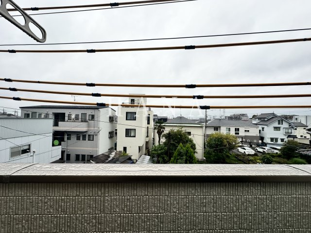Moderatoの展望