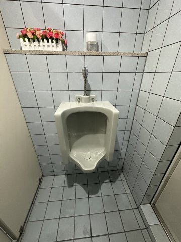 アルマ・ビルのトイレ