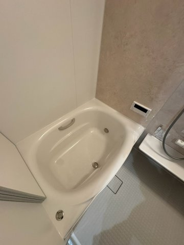 チョトラ新大塚の浴室