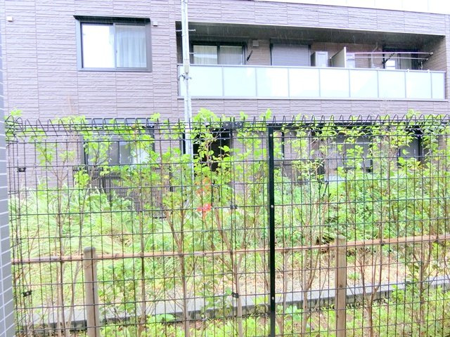 ラフィスタ羽田の展望|展望