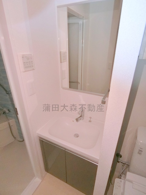 ラフィスタ羽田の洗面所