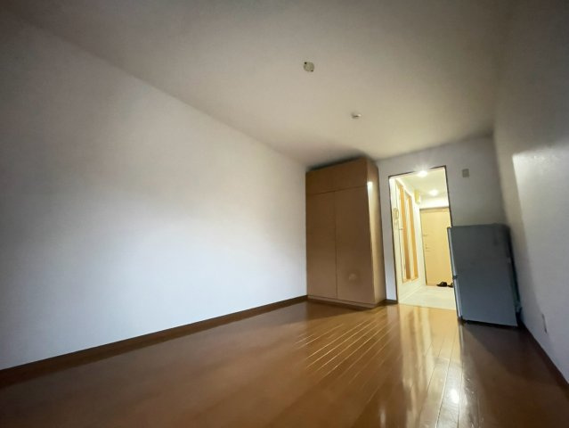 ヴィーナスのその他