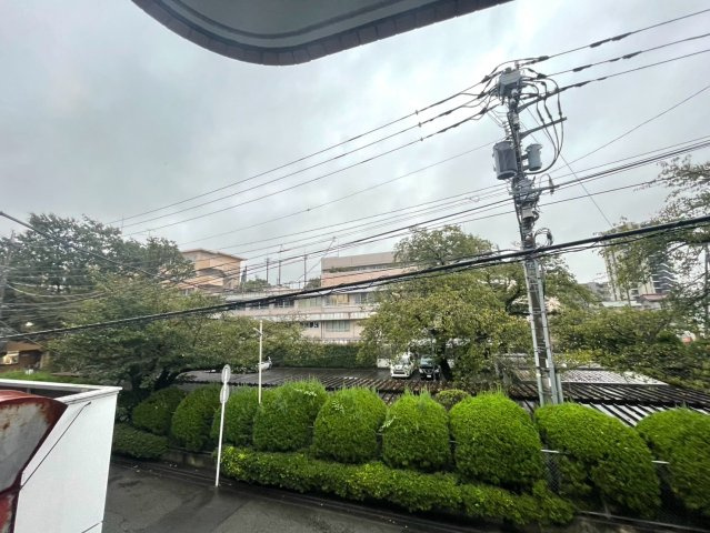 ヴィーナスの展望