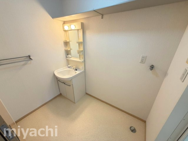シャーメゾン川内の洗面所