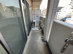 デレクト・ビュー上町台　中央小学校区のバルコニー|デレクト・ビュー上町台　バルコニー