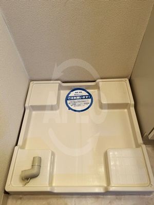 パウゼ大手前の洗面所|パウゼ大手前　室内洗濯機置場