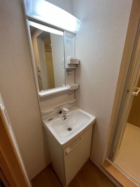 ブリリアンス根岸の洗面所