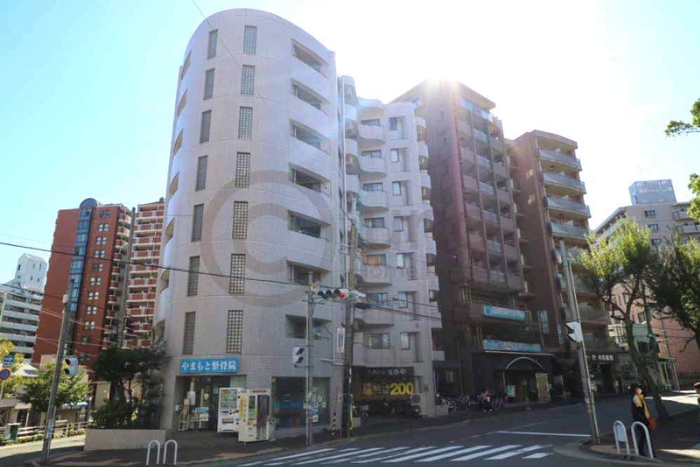 神戸市灘区岩屋北町７丁目の賃貸マンションの外観