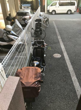 ラフィーネカワムラのその他