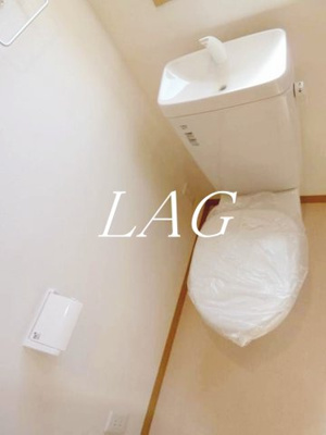 【トイレ】 | Ｈａｂｉｔｏ　ｋａｍｉｋｉｔａｚａｗａ | トイレです。
