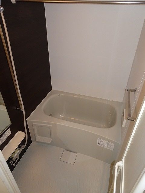 メゾン　TMDの浴室