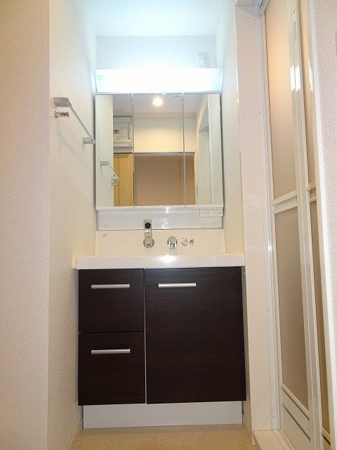 メゾン　TMDの洗面所