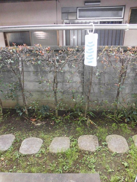 フラットANの庭