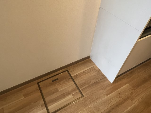 ペガサスのその他