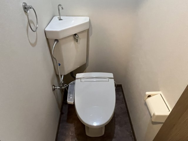 ペガサスのトイレ