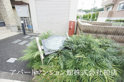 【エントランス】 | ラフィネ | ※別号室参考写真です ※現況優先