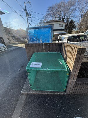 レオパレスカーツのその他