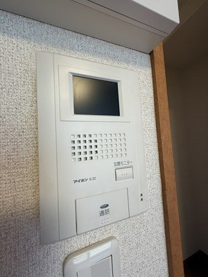 レオパレスカーツのその他