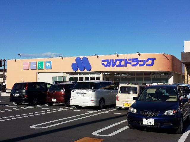 サニーヴィラの周辺|マルエドラッグ高崎新町店まで1,561ｍ