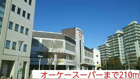 グランコリーヌ．Ｋの周辺|オーケースーパーまで210m